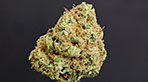 Super skunk de sensi seeds - HD vignette de la galerie photo zoom hd de Super Skunk by nova store 14