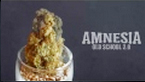 Medical nova seeds vignette de la vidéo youtube de présentation de Medical nova seeds