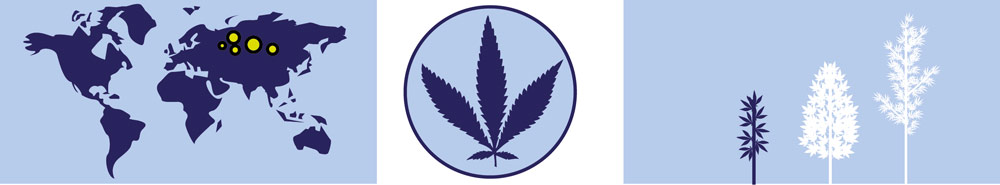 Carte des cannabis Sativa