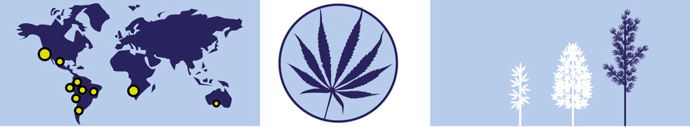 Carte des cannabis Sativa