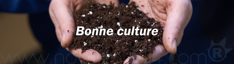 Bonne culture à tous