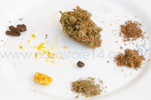 BHO, ice o lator, cannasonic