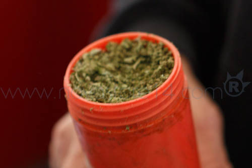 cannasonic