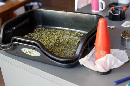 honey bee - tube d'extraction