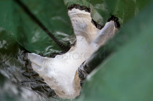 Ice o lator, eau qui s'égoutte