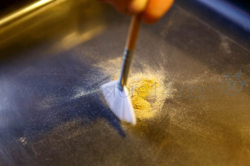 Récupération du pollen avec le pinceau