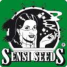 Sensi Seeds