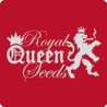Royal Queen Seeds