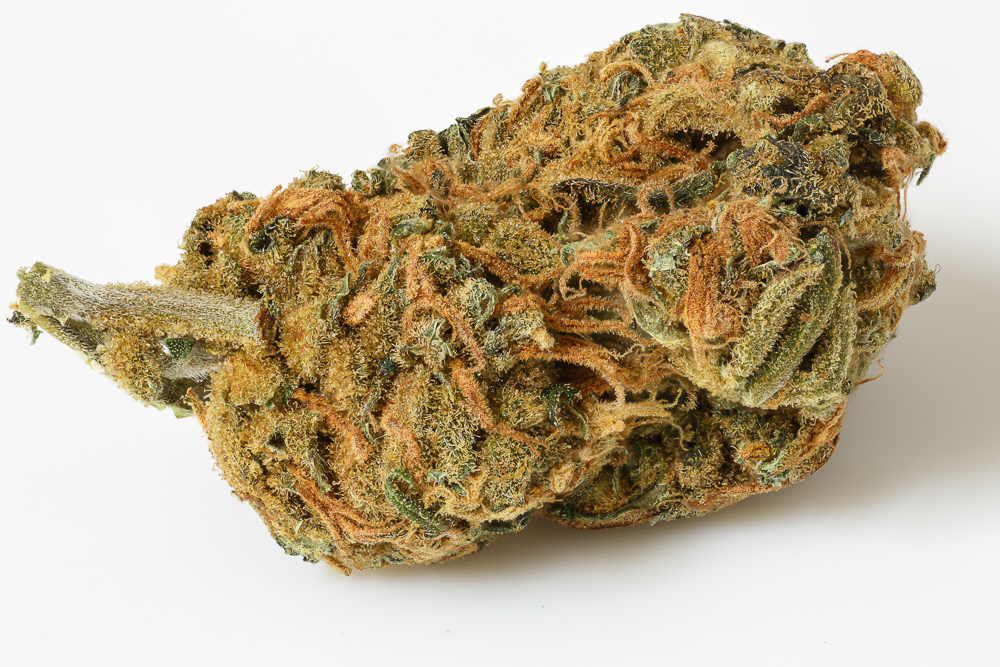photo de amnesia macro zoom