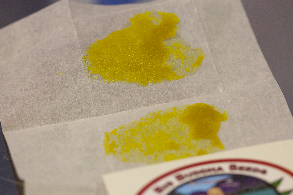 photo macro shatter