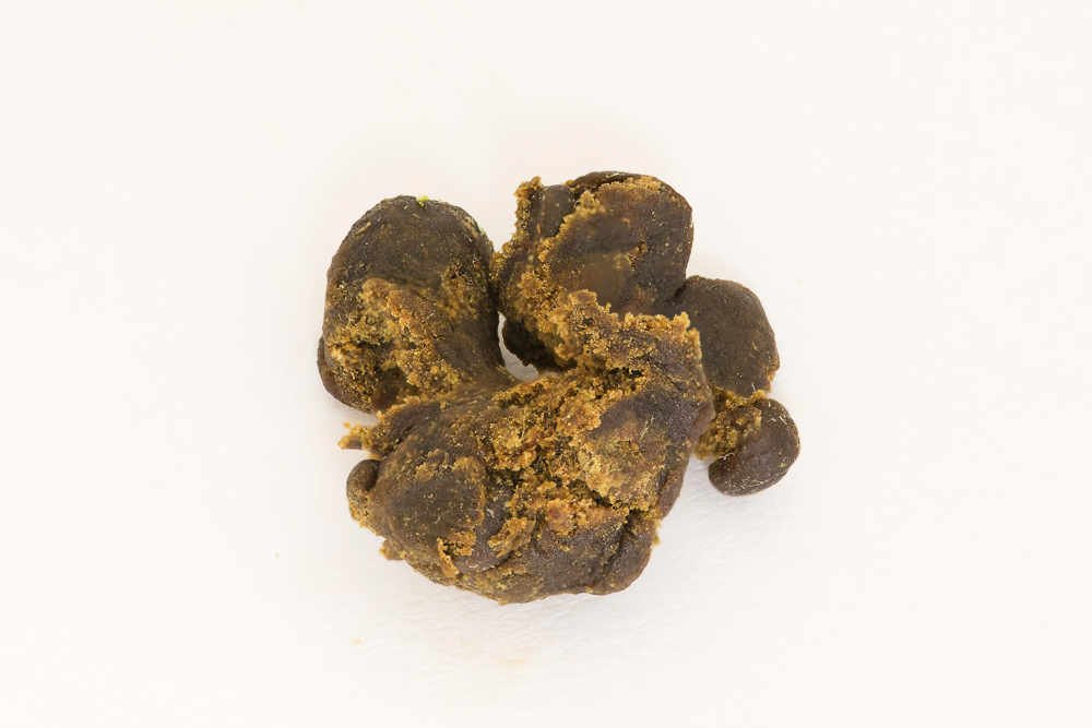photo 1e presse critical kush