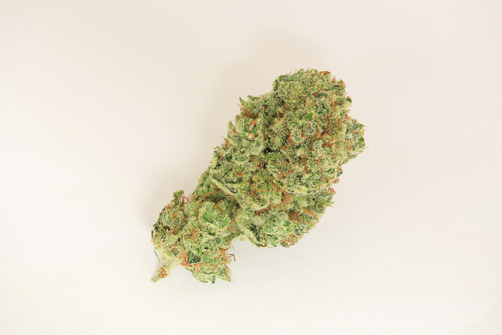 photo de blue dream macro zoom