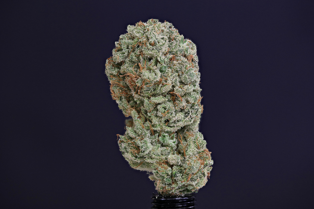photo de blue dream macro zoom