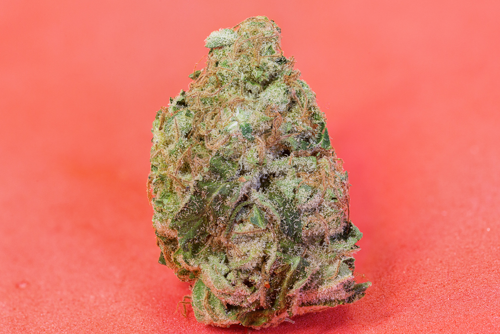 photo de blue-elephant medical seeds cannabis macro zoom