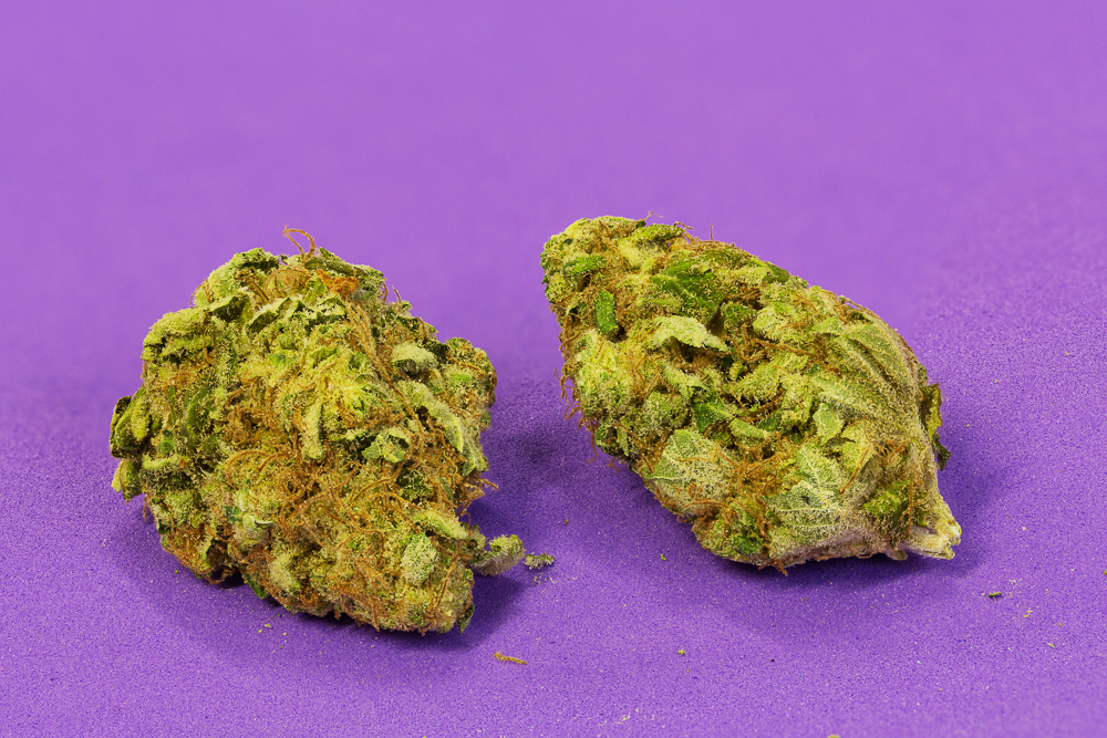 photo de blue-elephant medical seeds cannabis macro zoom