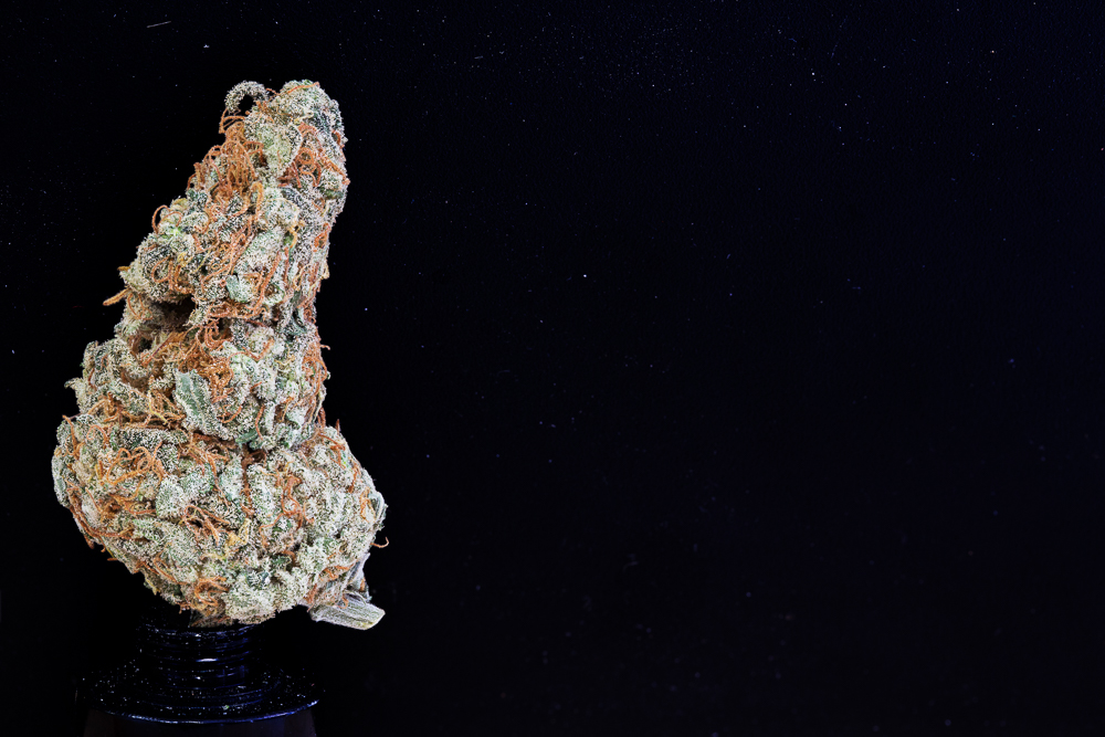 photo de blue dream macro zoom