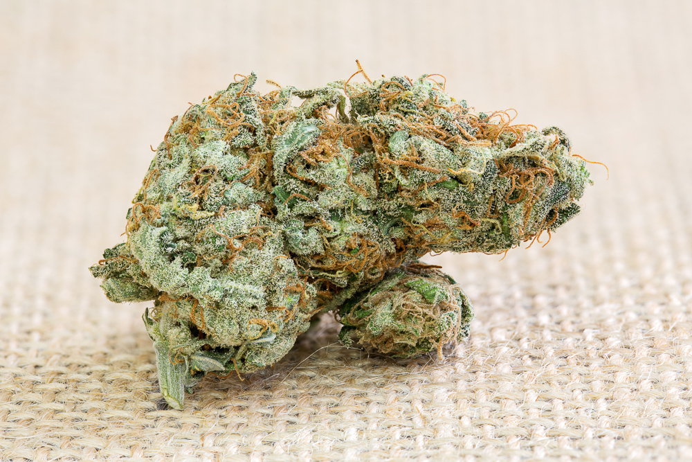 photo de blue dream macro zoom