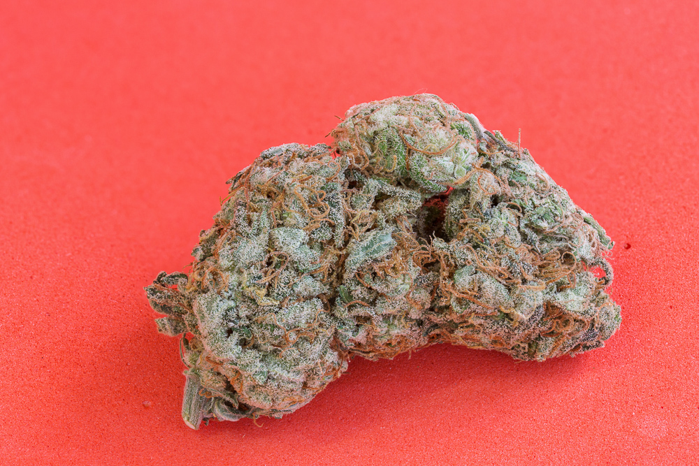 photo de blue dream macro zoom