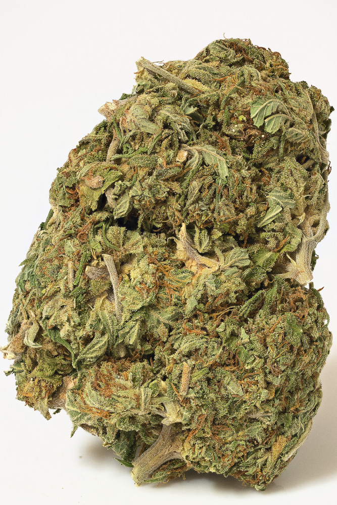 photo California Kush gros plan