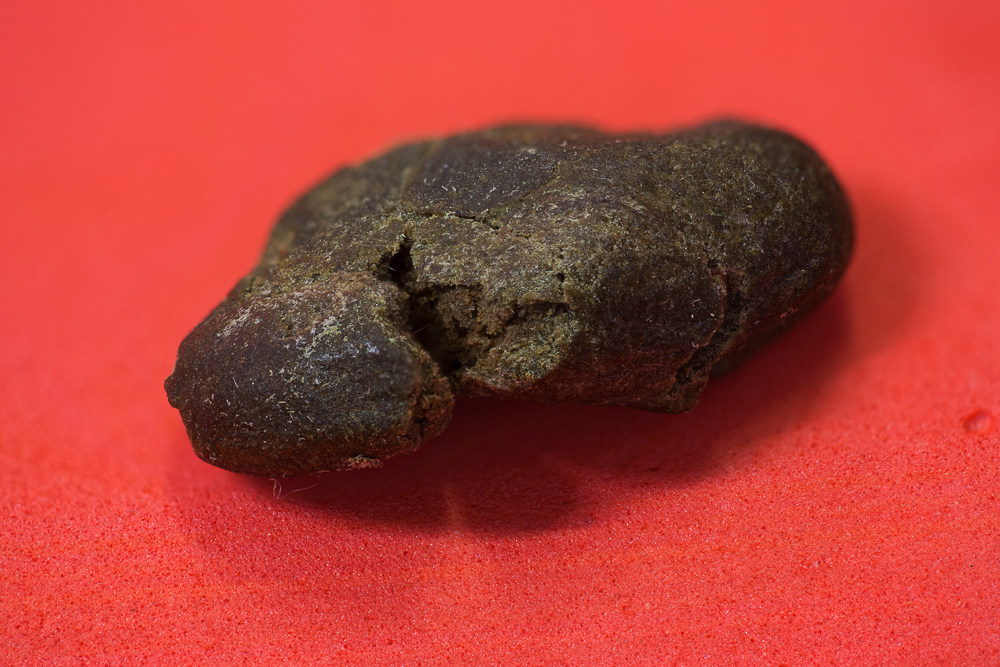 photo macro hash icolator weed