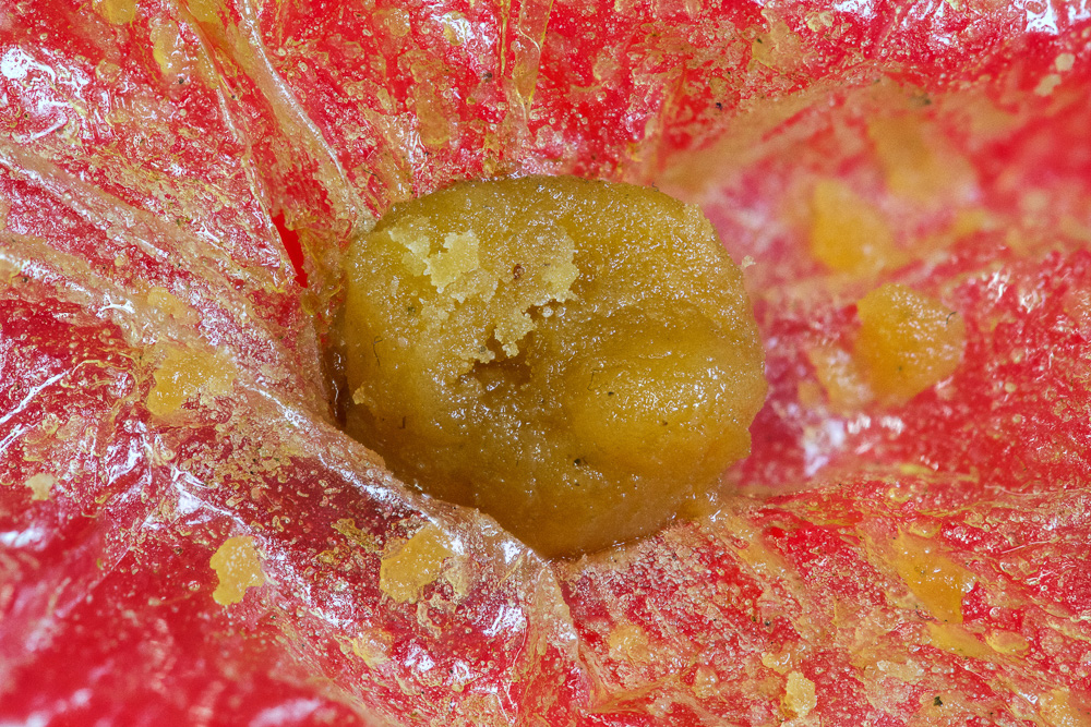 photo macro shatter