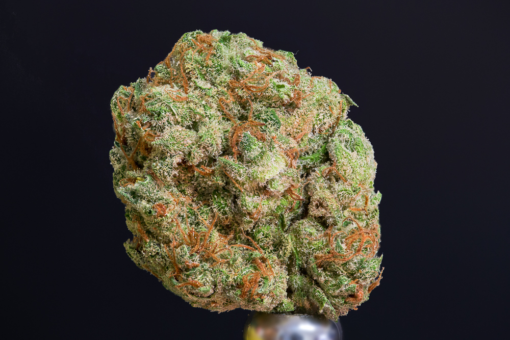 photo cream caramel macro