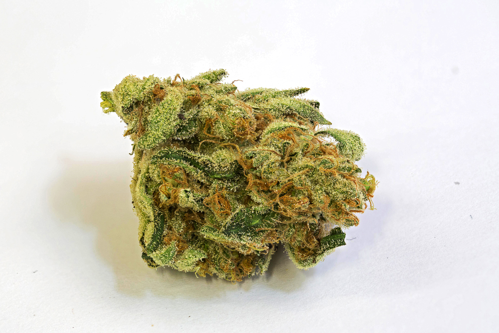 photo de critical kush macro zoom