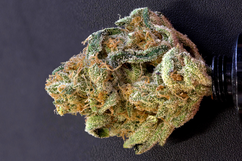 photo de critical kush macro zoom