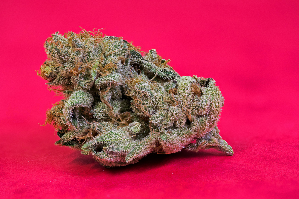 photo de critical kush macro zoom