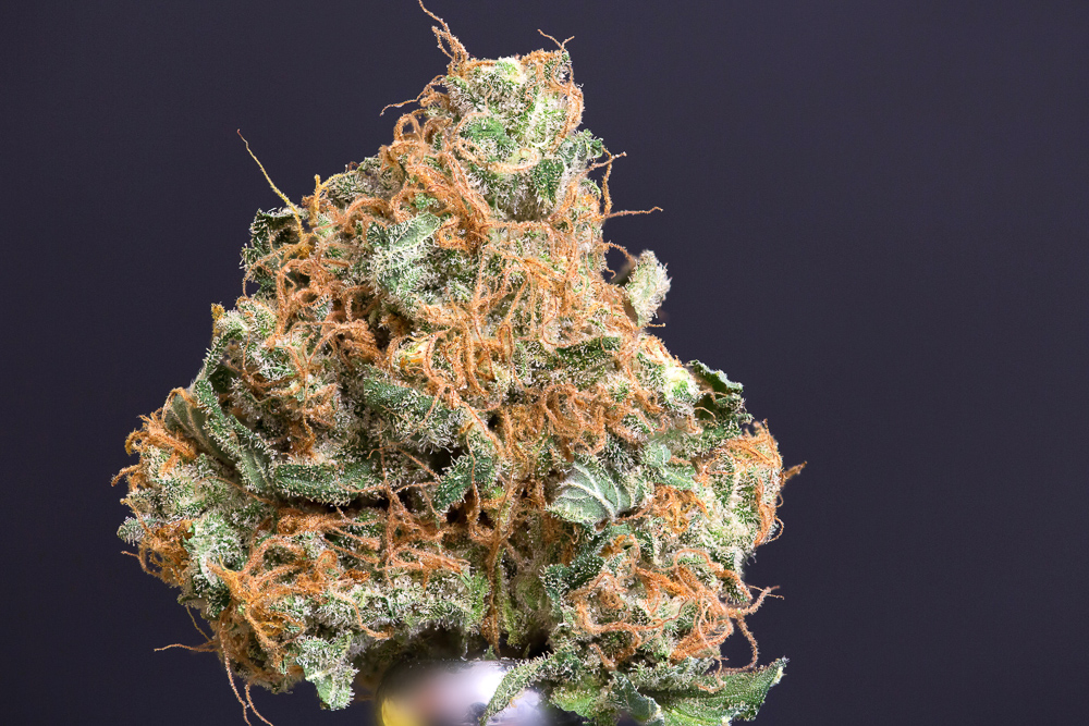 photo flowerbomb kush macro