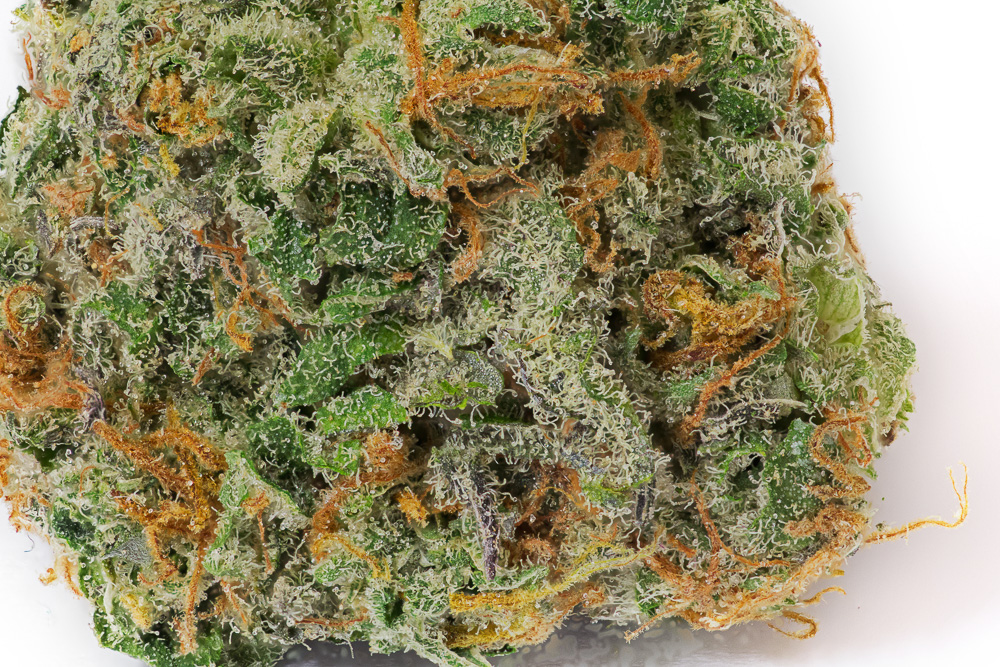 photo hardala candy macro
