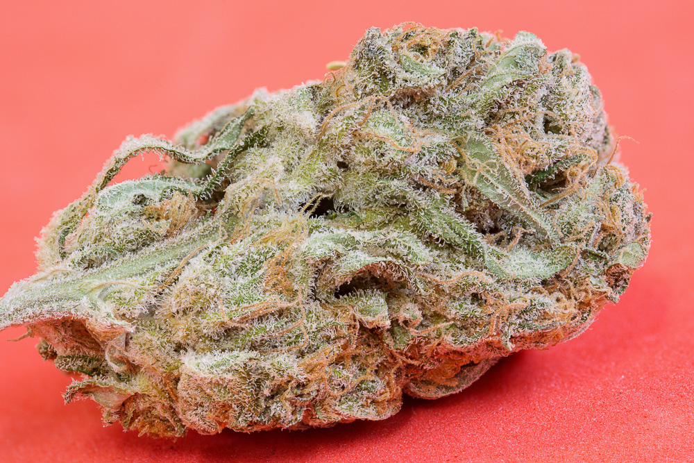 photo cannabis jack kinky