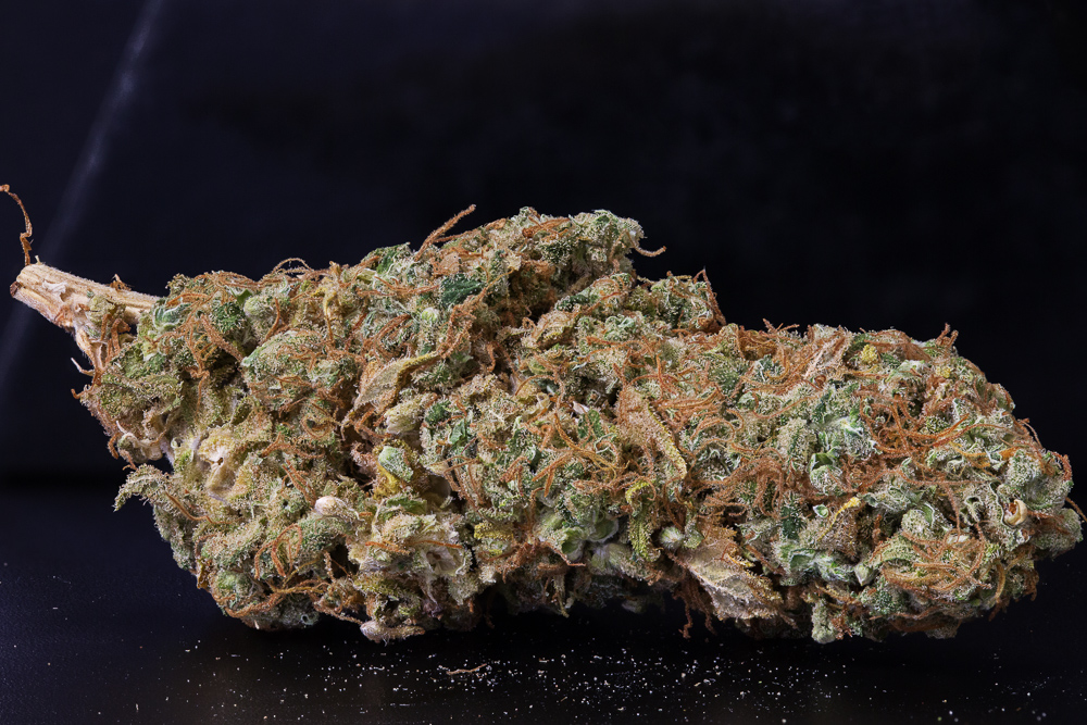 photo jamaican diesel sur fond noir