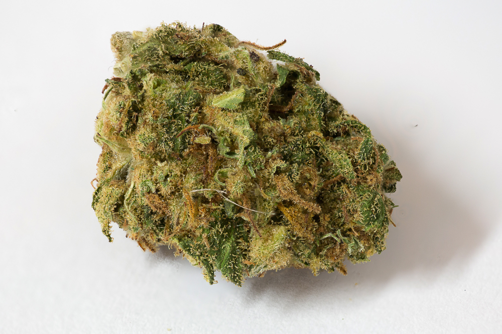 photo jamaican diesel medical nova seeds