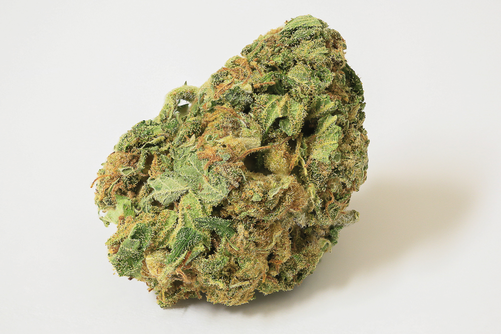 photo jamaican diesel gros plan