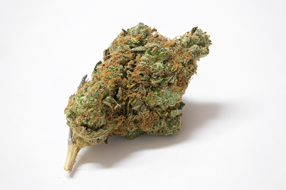 photo LA Cheese medical nova seeds macro