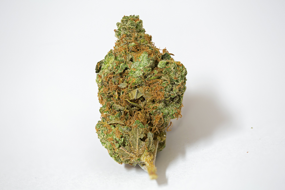 photo LA cheese cannabis medical nova seeds
