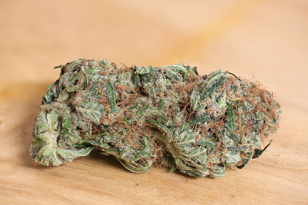 photo de liban kush macro zoom