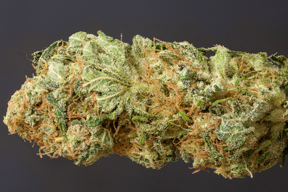 photo de liban kush macro zoom