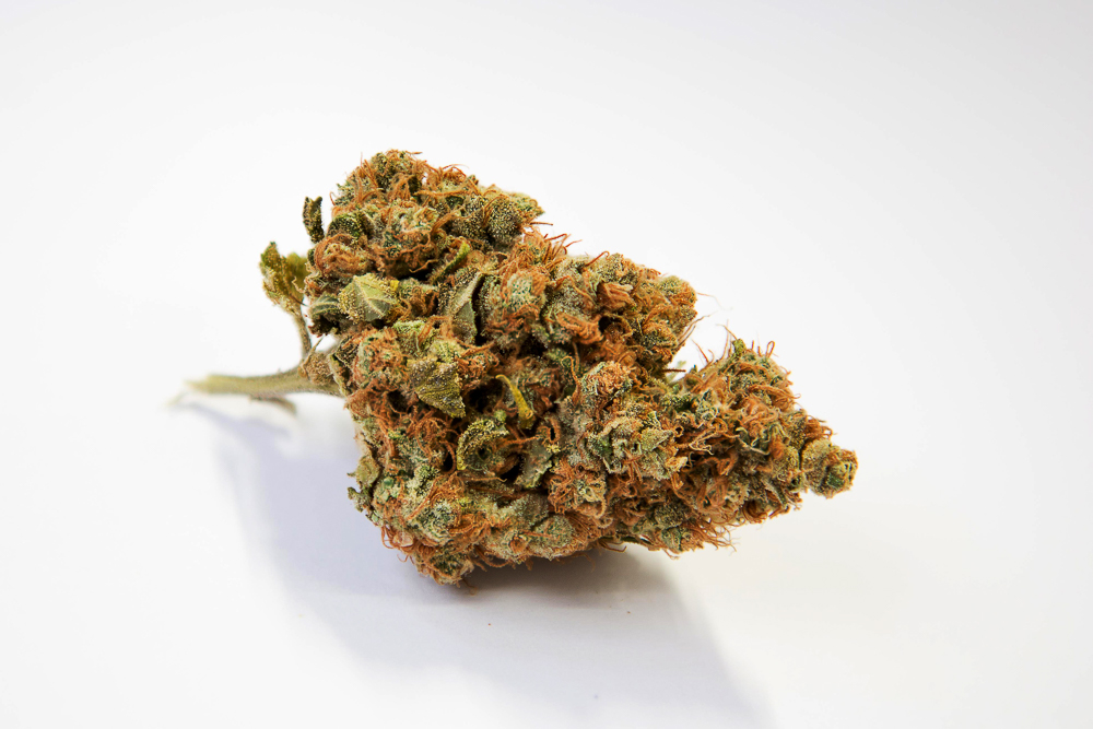 photo de blue dream macro zoom
