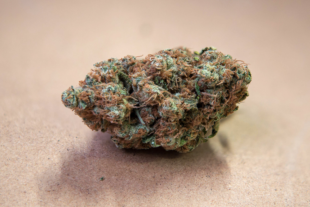 photo de blue dream macro zoom