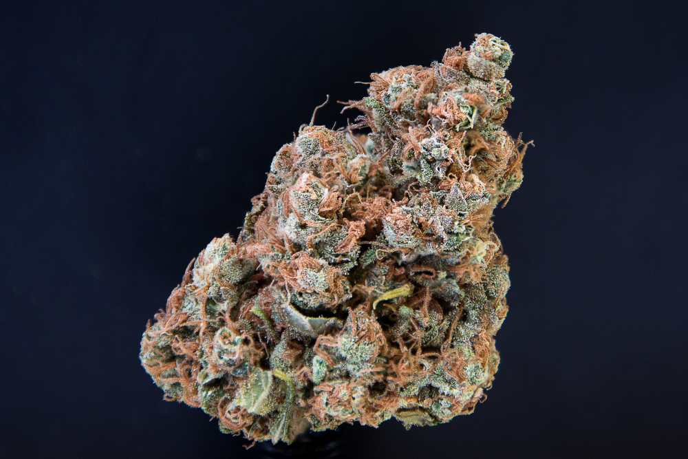 photo de blue dream macro zoom