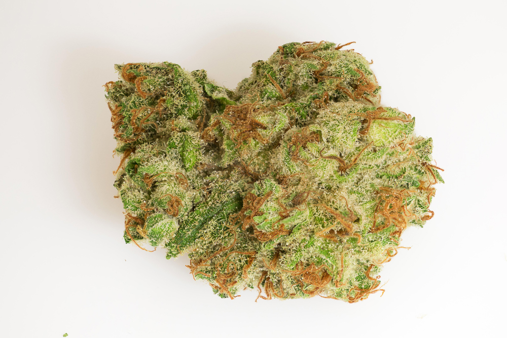 photo de pink paradise macro zoom