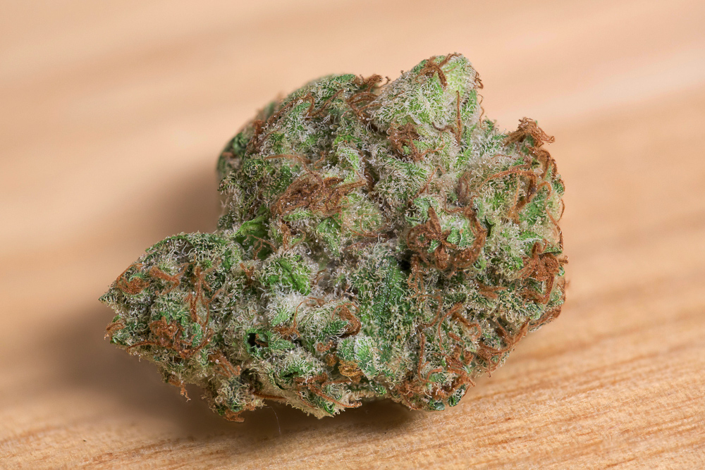 photo de pink paradise macro zoom