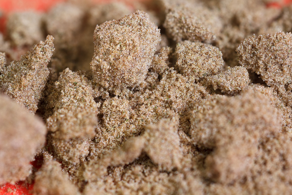 photo macro pollen marocain