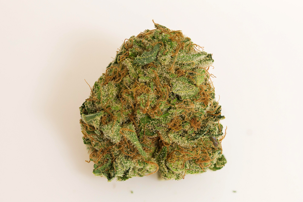 photo skunk 94 medical nova seeds