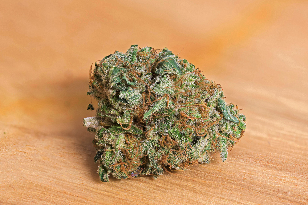 photo skunk 94 medical nova seeds