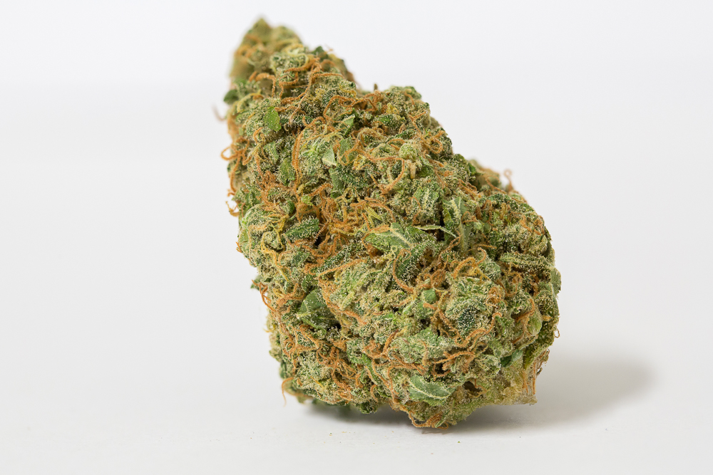 photo skunk 94 medical nova seeds