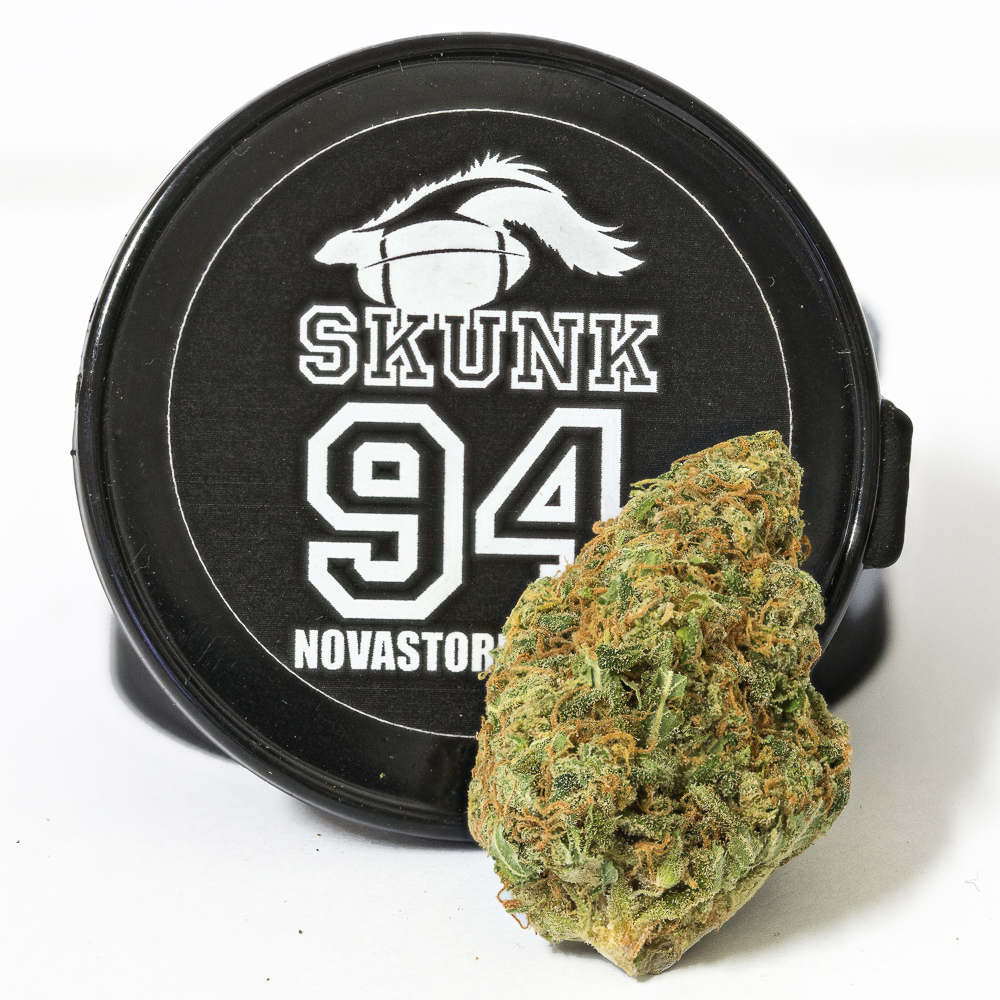 photo skunk 94 avec grinder
