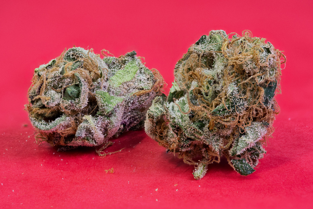 photo de blue dream macro zoom